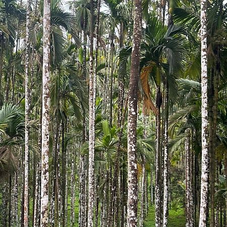 Max Farms Villa Shimoga Buitenkant foto