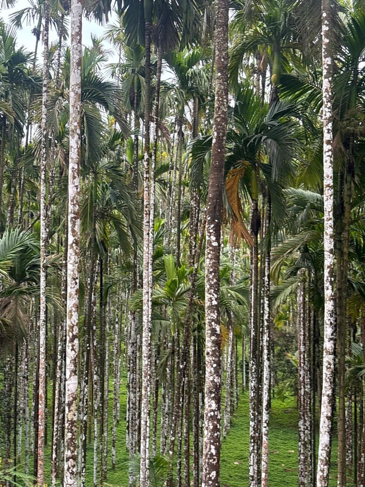Max Farms Villa Shimoga Buitenkant foto